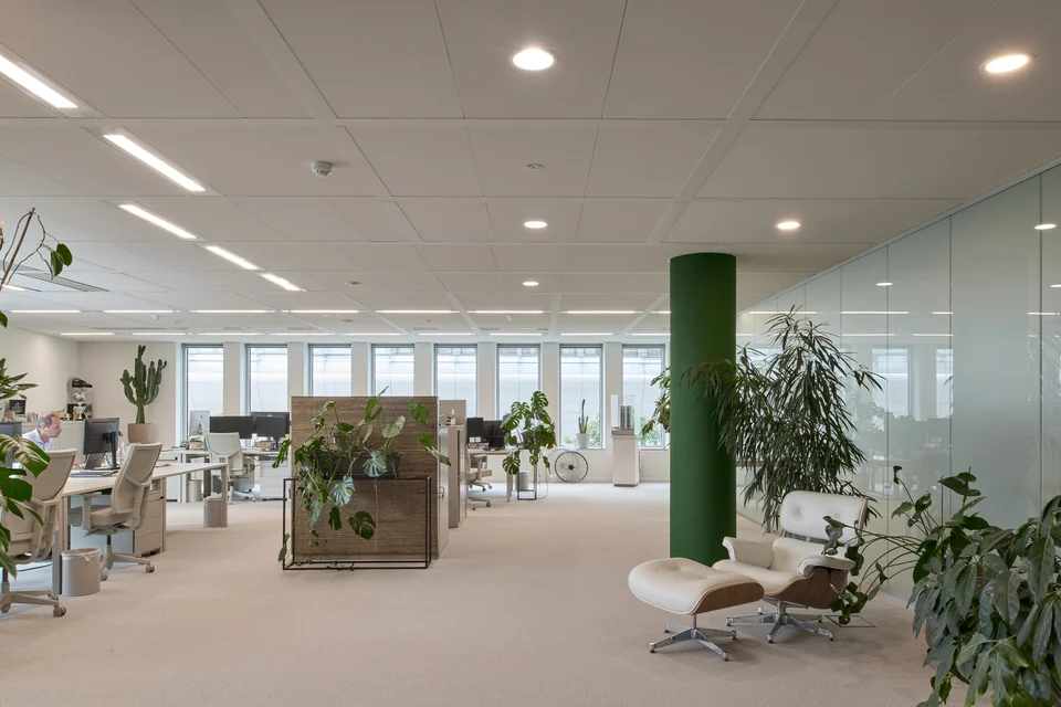 Flow & Haavens met Boring Collection meubilair