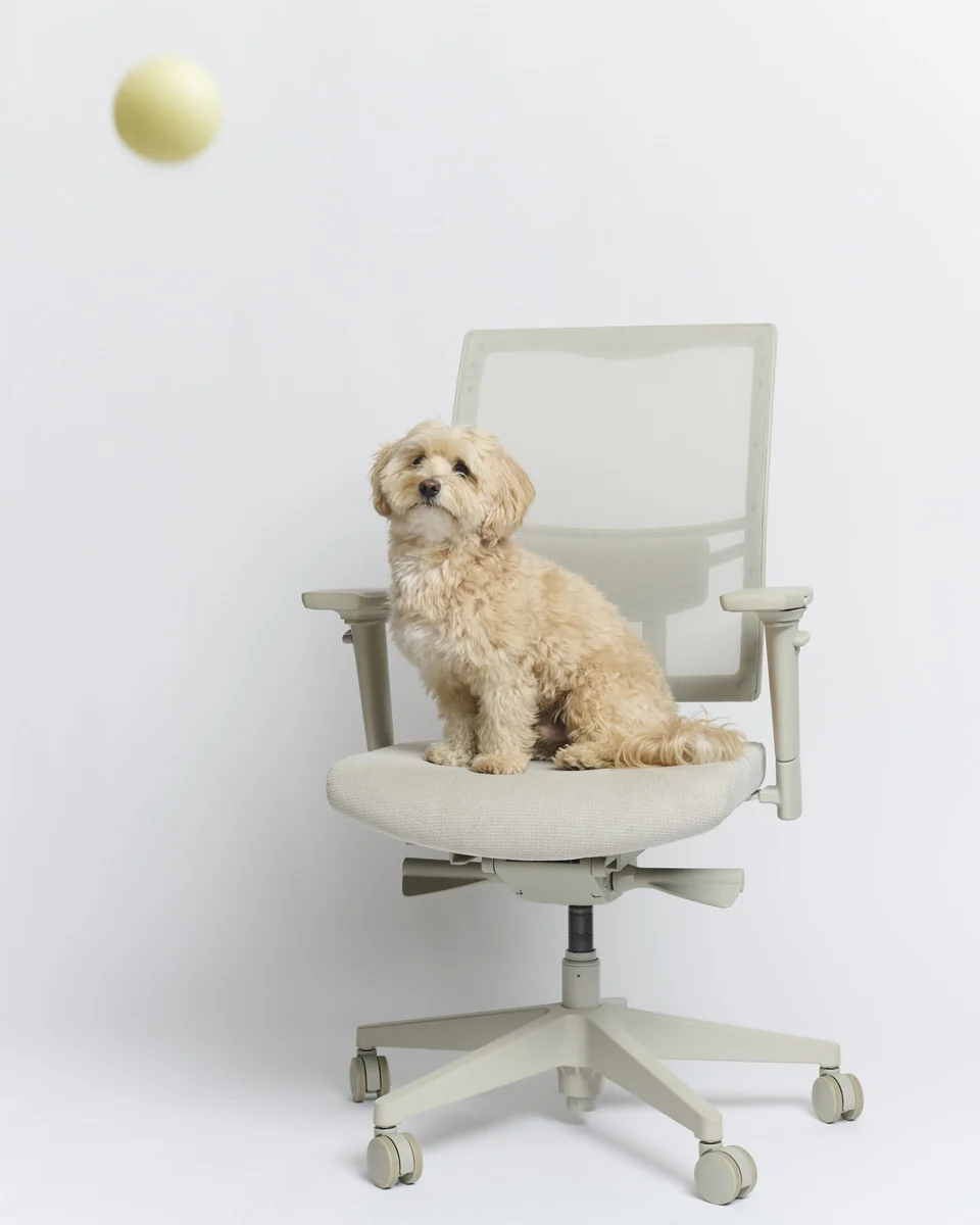 Boring Netweave Chair