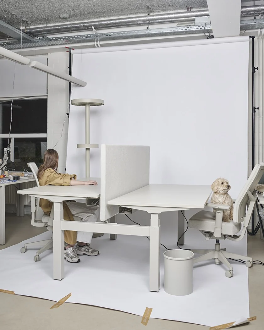 An introduction to the wonderful world of the Boring Collection (2025)